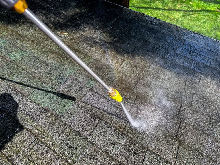Before and after roof cleaning